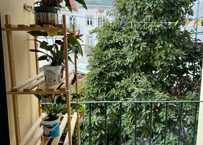 Spacious T4 With Iconic Tram 28 View 아파트 *